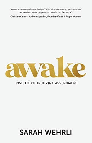Cover of Rise. Awake. Inspire.